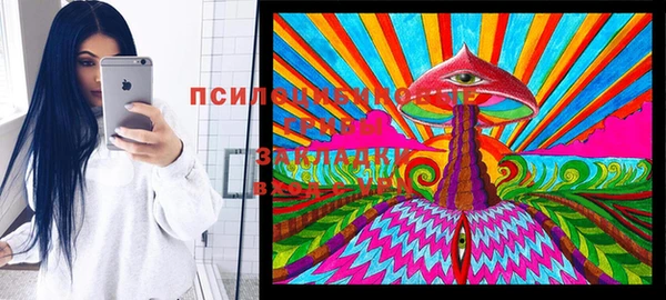 ПСИЛОЦИБИНОВЫЕ ГРИБЫ Алексин
