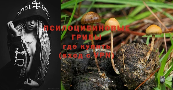 ПСИЛОЦИБИНОВЫЕ ГРИБЫ Алексин