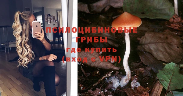 ПСИЛОЦИБИНОВЫЕ ГРИБЫ Алексин