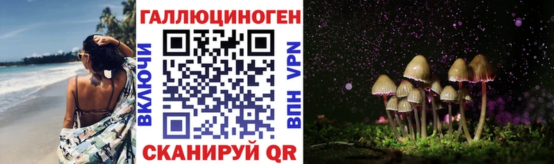Псилоцибиновые грибы Psilocybe купить наркоту Ачхой-Мартан